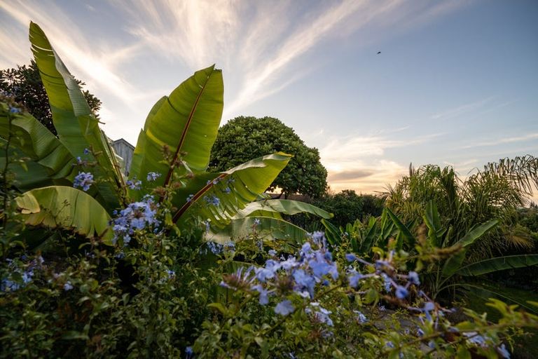 Photo of property in 6 Pine Ridge Terrace, Waikanae Beach, Waikanae, 5036