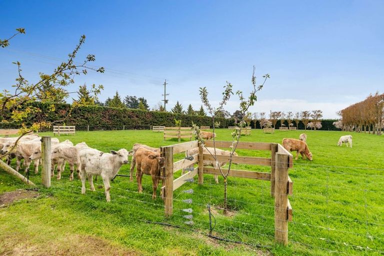 Photo of property in 16 Winslow Westerfield Road, Winslow, Ashburton, 7775