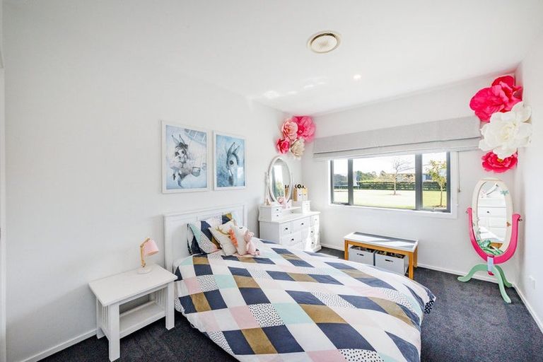 Photo of property in 57 Wapiti Avenue, Feilding, 4775