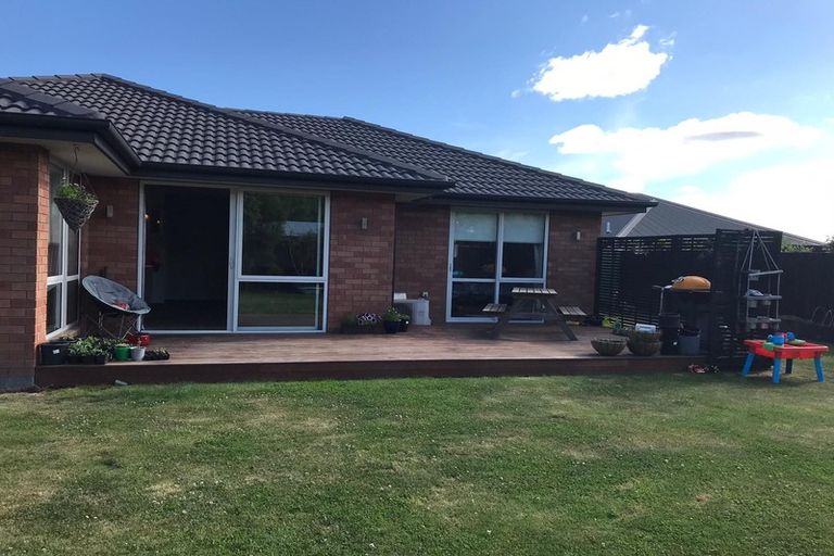 Photo of property in 17 Larne Place, Belfast, Christchurch, 8051