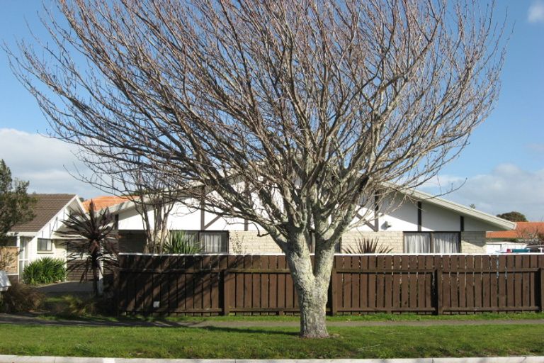 Photo of property in 3a Beach Street, Whakatane, 3120