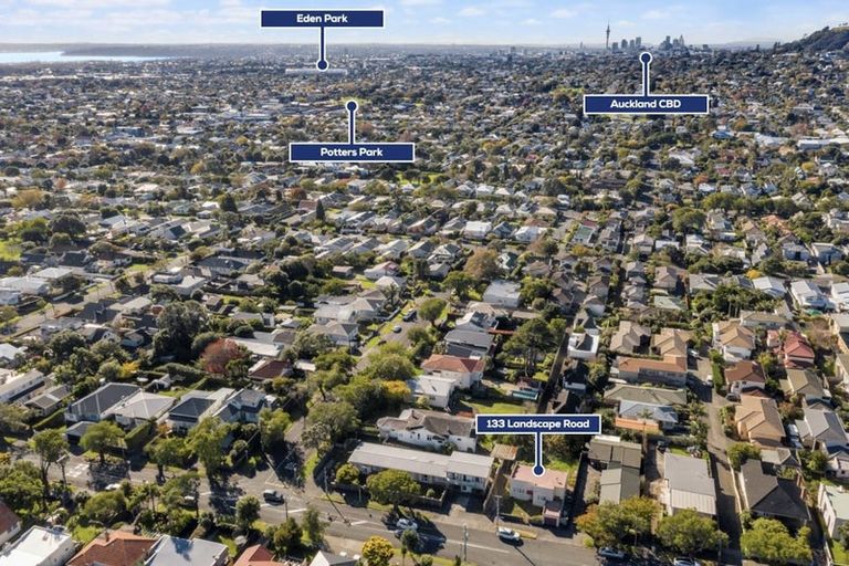 Photo of property in 133 Landscape Road, Mount Eden, Auckland, 1024
