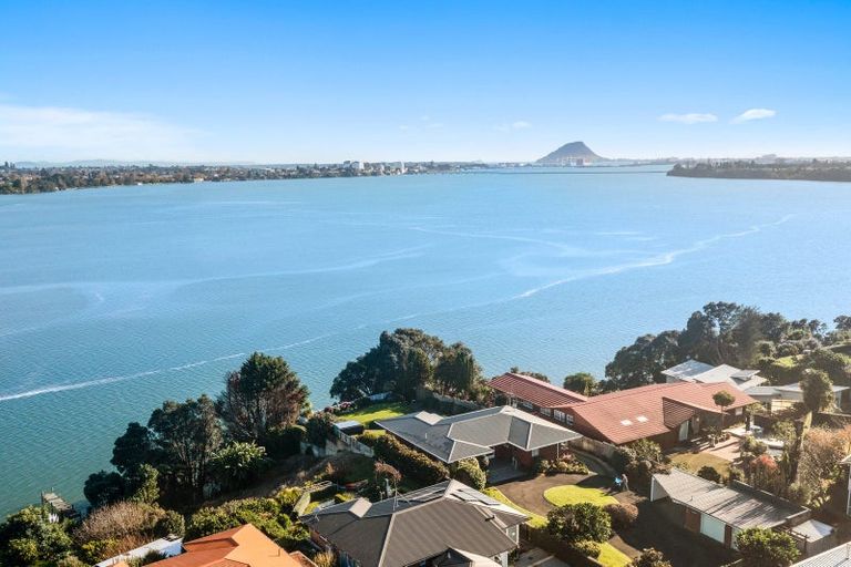 Photo of property in 340b Maungatapu Road, Maungatapu, Tauranga, 3112