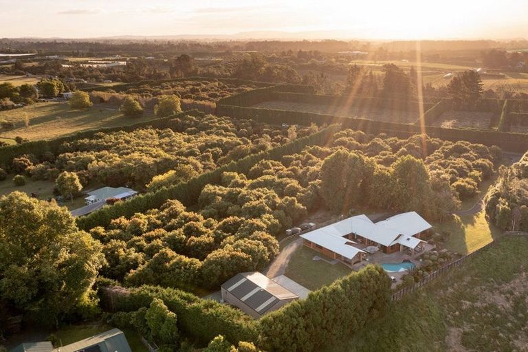 Photo of property in 139 Hereford Road, Oropi, Tauranga, 3173