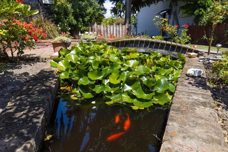 Photo of property in 10a Mccallum Street, Springlands, Blenheim, 7201