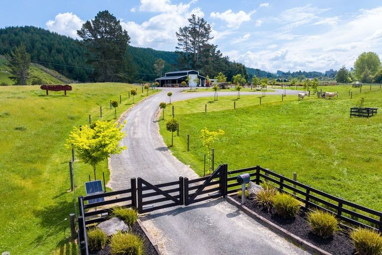 Photo of property in 437 Poihipi Road, Wairakei, Taupo, 3377