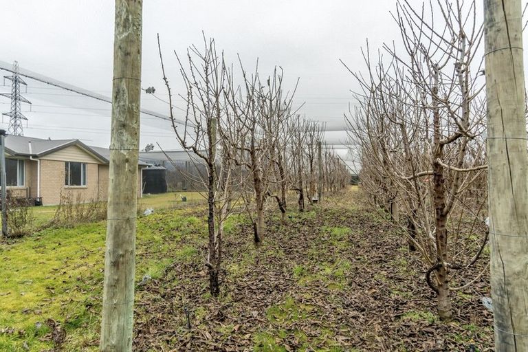 Photo of property in 101 Richards Beach Road, Cromwell, 9384