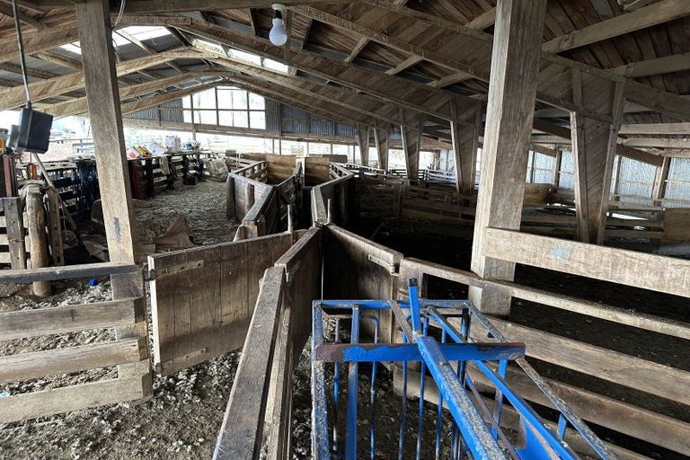 Photo of property in 173 Happy Valley Road, Owhiro Bay, Wellington, 6023