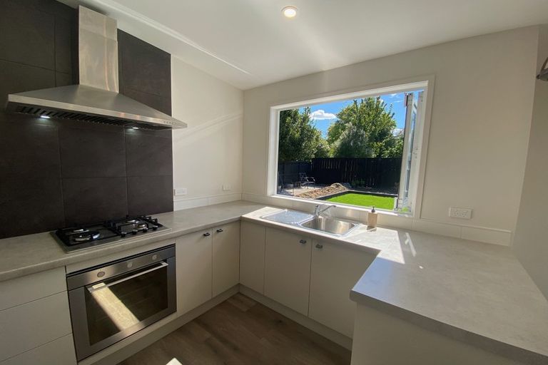 Photo of property in 41 Queenwood Avenue, Queenwood, Hamilton, 3210