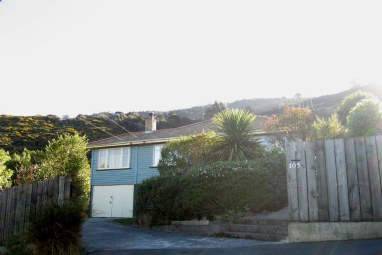 Photo of property in 105 Manapouri Street, Maia, Dunedin, 9022