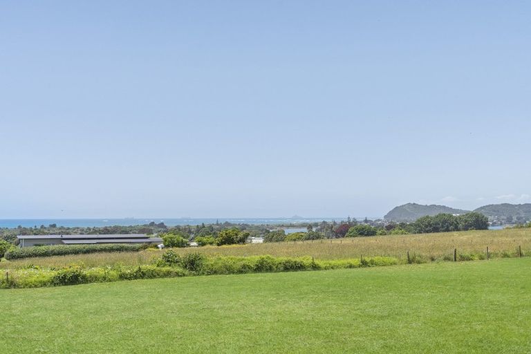 Photo of property in 36 Koutunui Road, Athenree, Katikati, 3177