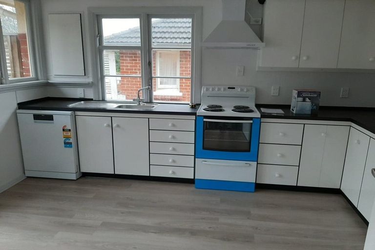 Photo of property in 185 Helensburgh Road, Wakari, Dunedin, 9010