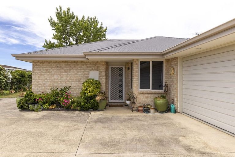 Photo of property in 113 Scott Street, Blenheim, 7201