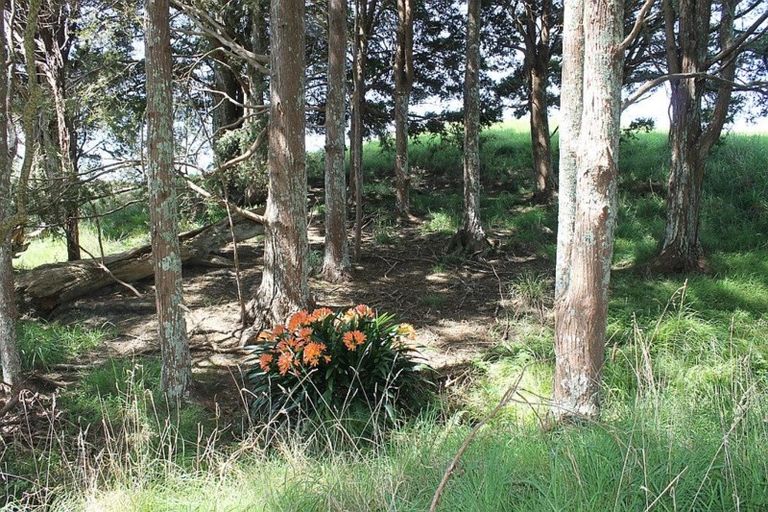 Photo of property in 352 Heatley Road, Whakapirau, Maungaturoto, 0583