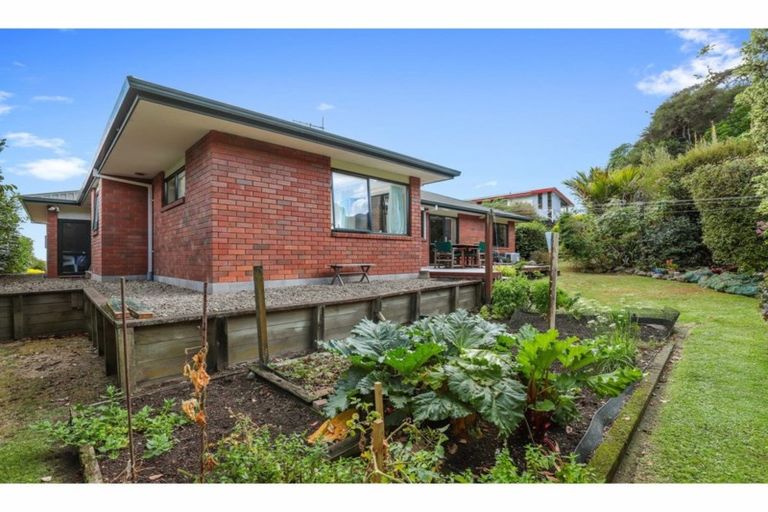 Photo of property in 25 Hamilton Street, Te Aroha, 3320