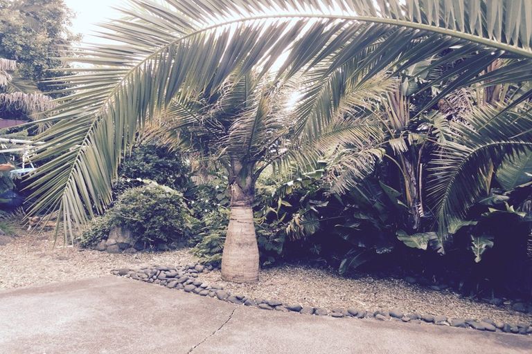 Photo of property in 5 Don Croot Street, Morningside, Auckland, 1021