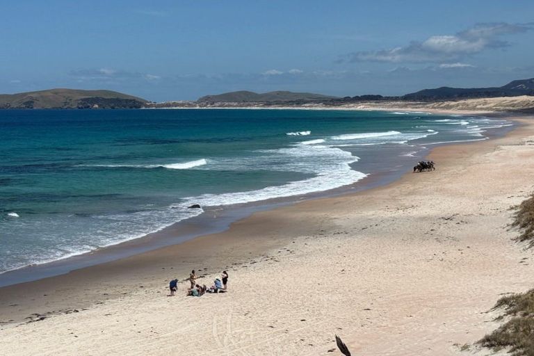 Photo of property in 392 Henderson Bay Road, Houhora, Kaitaia, 0484