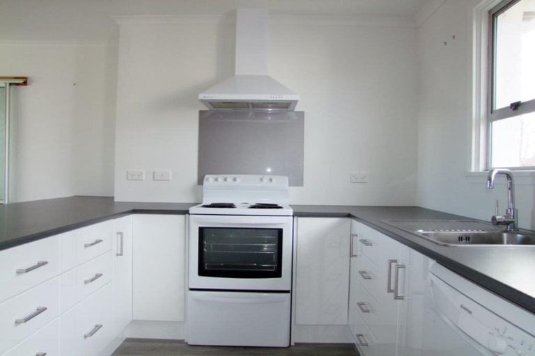 Photo of property in 217 Union Street, Milton, 9220