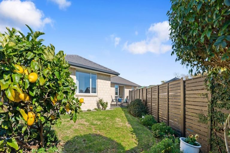 Photo of property in 18a Parkvale Road, Otumoetai, Tauranga, 3110