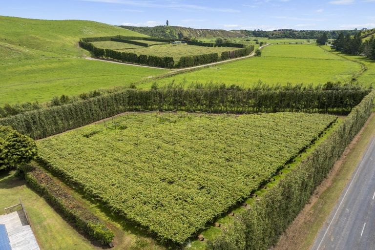 Photo of property in 120 Rotoehu Road, Pukehina, Te Puke, 3186