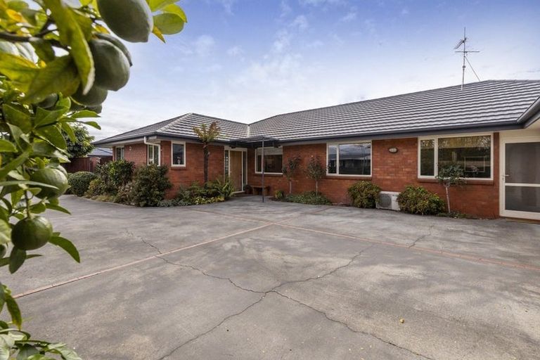 Photo of property in 49a George Street, Blenheim, 7201