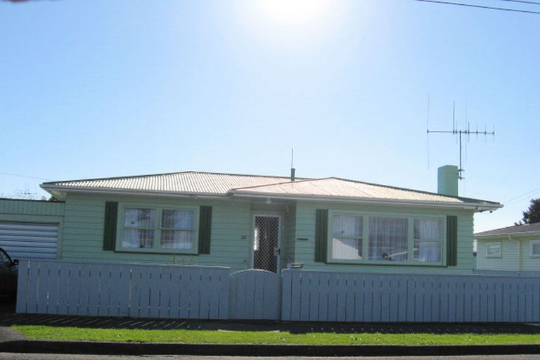 Photo of property in 20 Rata Street, Levin, 5510