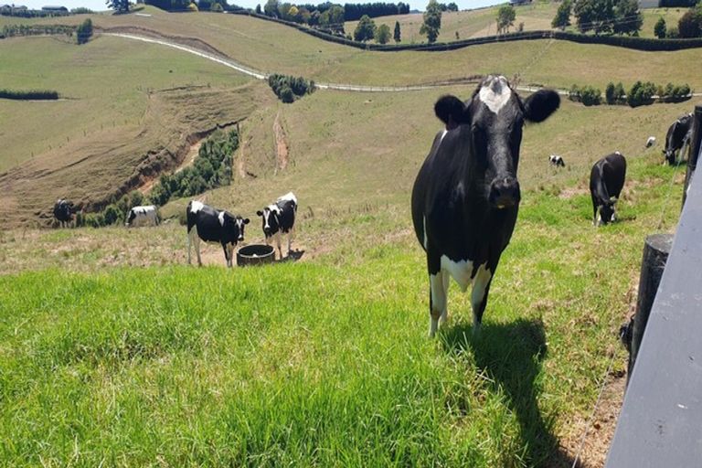 Photo of property in 39 Rowe Road, Ohauiti, Tauranga, 3173