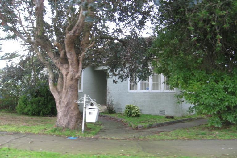 Photo of property in 15 Tyndall Street, Palmerston North, 4414