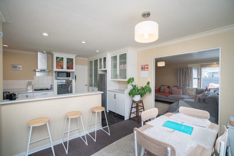 Photo of property in 17a Franklin Avenue, Hokowhitu, Palmerston North, 4410