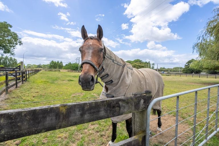 Photo of property in 193a Duncan Road, Tamahere, Hamilton, 3283
