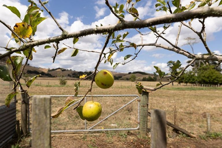 Photo of property in 530 Taniwha Road, Waerenga, Te Kauwhata, 3781