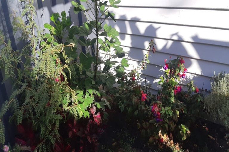 Photo of property in 390-392 Jackson Street, Petone, Lower Hutt, 5012