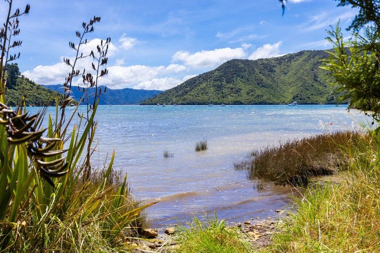 Photo of property in 19 Mccormicks Road, Whatamango Bay, Picton, 7281