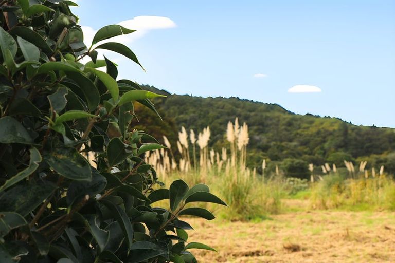 Photo of property in 843 Whangarei Heads Road, Parua Bay, Whangarei, 0174