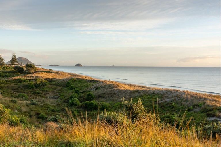 Photo of property in 339a Oceanbeach Road, Mount Maunganui, 3116