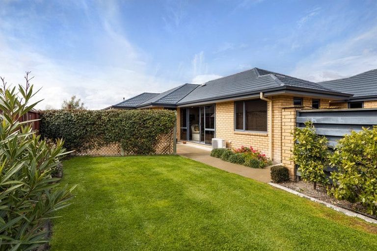 Photo of property in 13 Tremorne Avenue, Blenheim, 7201