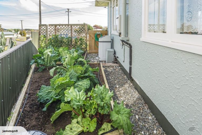 Photo of property in 17 Murch Place, Tawhero, Whanganui, 4500