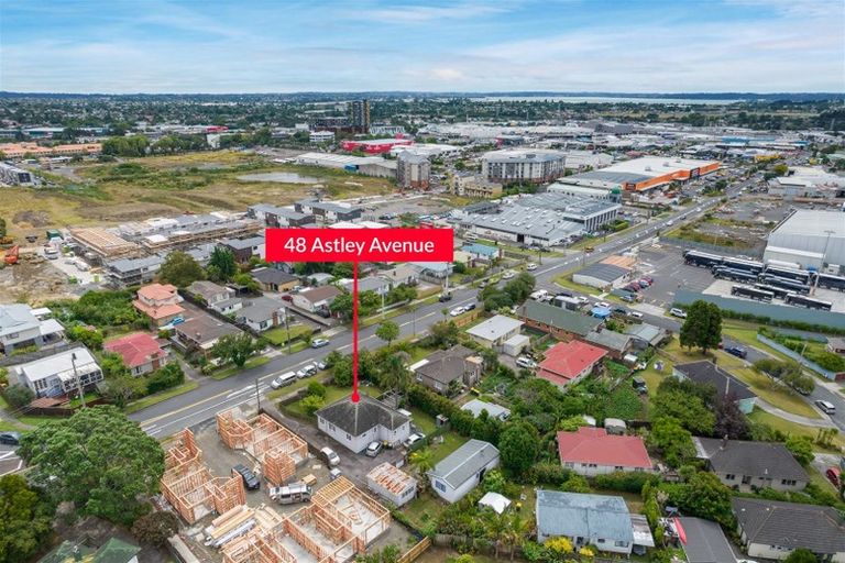 Photo of property in 48 Astley Avenue, New Lynn, Auckland, 0600