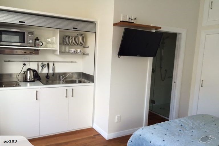 Photo of property in 114 Austin Street, Mount Victoria, Wellington, 6011