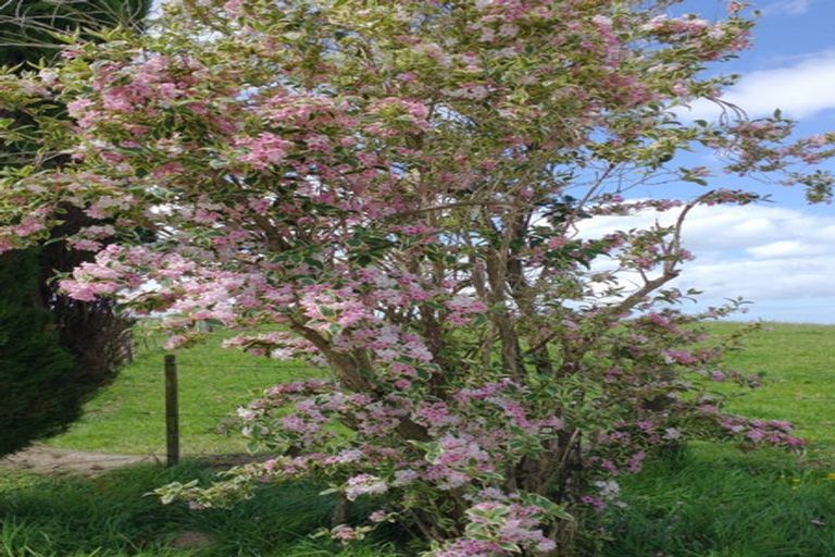 Photo of property in 109 Vinegar Hill Road, Kauri, Kamo, 0185