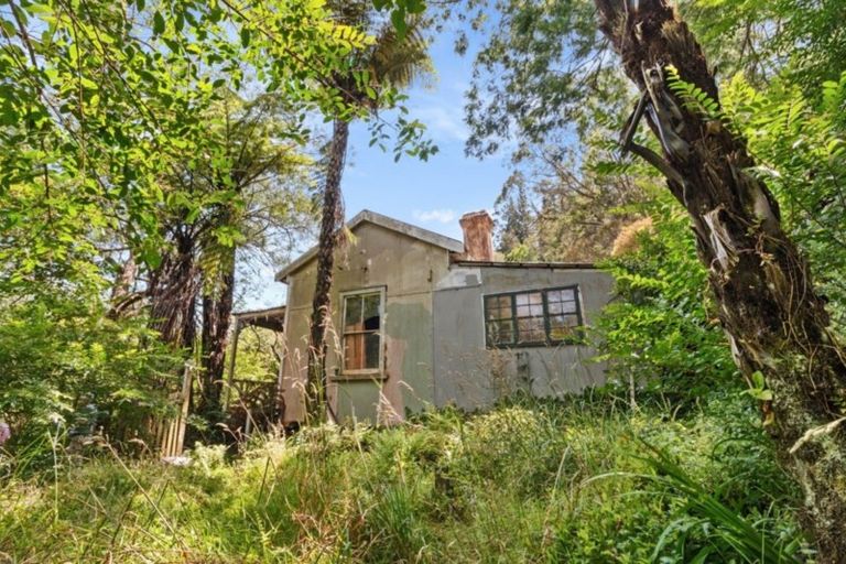 Photo of property in 11 Waitawheta Road, Waikino, Waihi, 3682