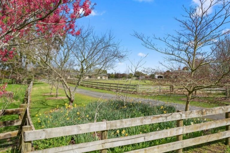 Photo of property in 19 Camdon Place, Tamahere, Hamilton, 3283