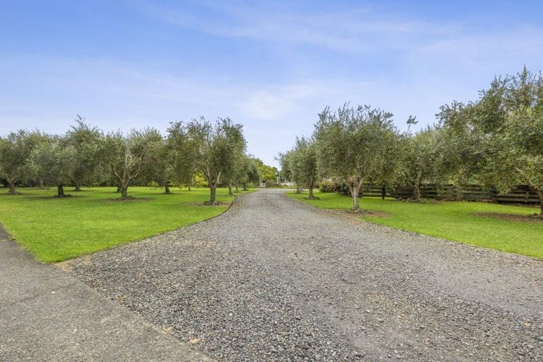 Photo of property in 76 Molesworth Drive, Mangawhai, 0505