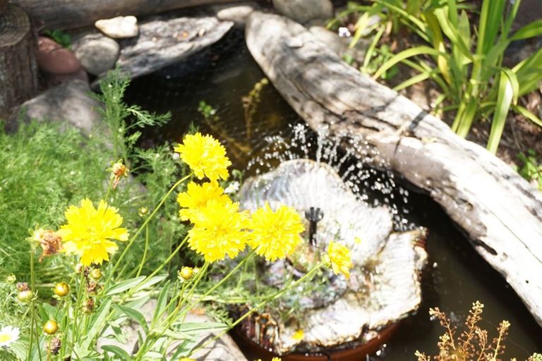 Photo of property in 31 Otuturu Crescent, Ruamahunga, Thames, 3575