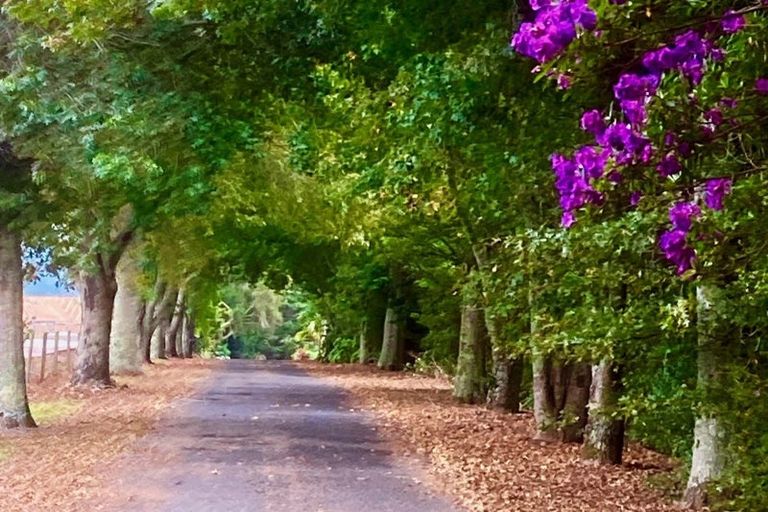 Photo of property in 2 Ascot Downs, Kerikeri, 0230