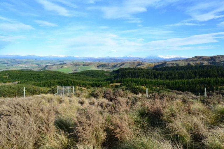 Photo of property in 246 Centrewood Park Road, Waimate, 7977