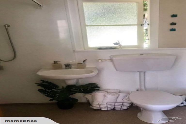 Photo of property in 50 Baldwin Street, North East Valley, Dunedin, 9010