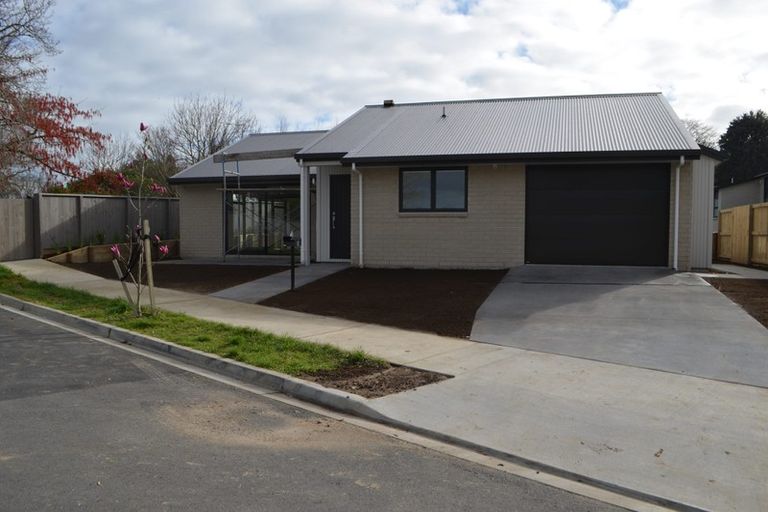 Photo of property in 50 Parau Drive, Bethlehem, Tauranga, 3110