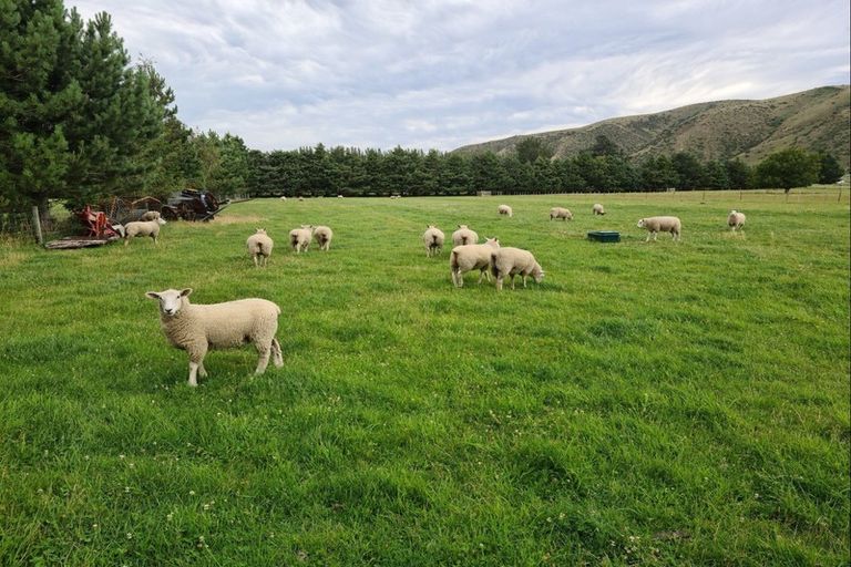 Photo of property in 49a Freyberg Avenue, Kurow, 9435