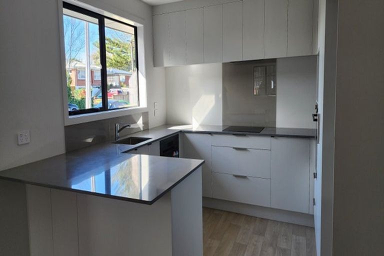 Photo of property in 1/3 Alexandra Avenue, Morrinsville, 3300